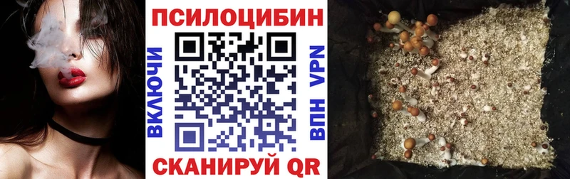 Псилоцибиновые грибы Magic Shrooms Адыгейск